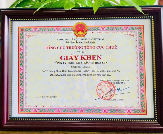 bao ve hoa sen nhan giai sao vang dat viet 2