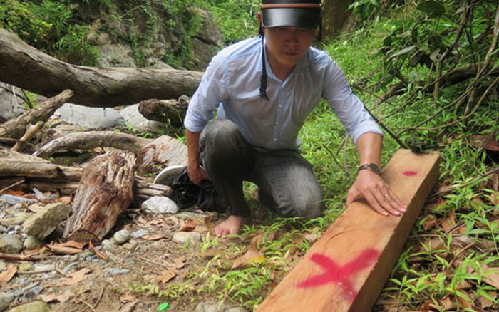 Nhân viên bảo vệ rừng nhận hối lộ của lâm tặc bị bắt quả tang