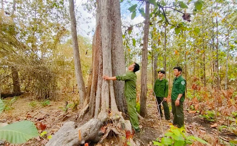 hoi-nghi-luc-luong-chuyen-trach-ba-ve-rung-2